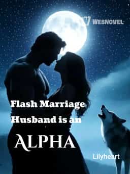 Flash Marriage Husband is an Alpha novel cover