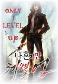 Only I level up novel cover