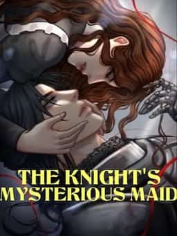 The Knight's Mysterious Maid novel cover