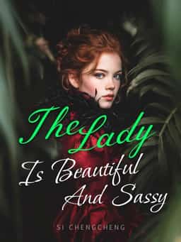 The Lady is Beautiful and Sassy novel cover
