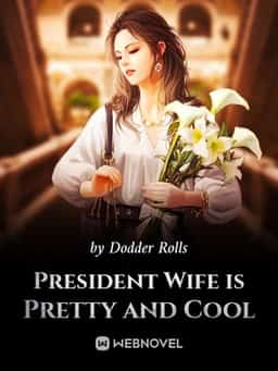 President Wife is Pretty and Cool novel cover